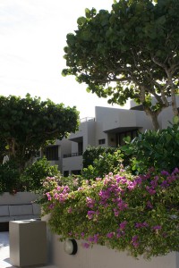 Botanical Gardens throughout the property.